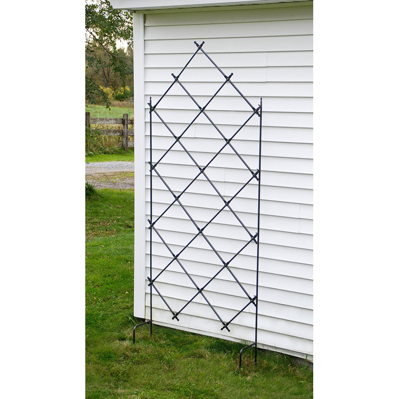 Charlton Home Mountville Iron Lattice Panel Trellis & Reviews Wayfair